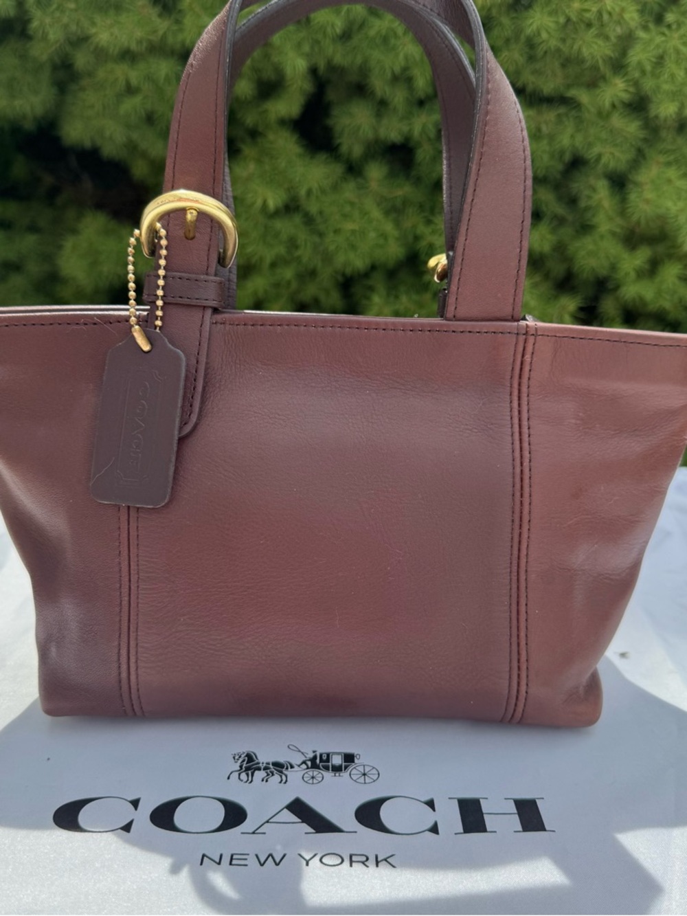 RARE Vintage COACH Brown Leather Waverly Mini Tote Bag NWOT - Signature Carryall